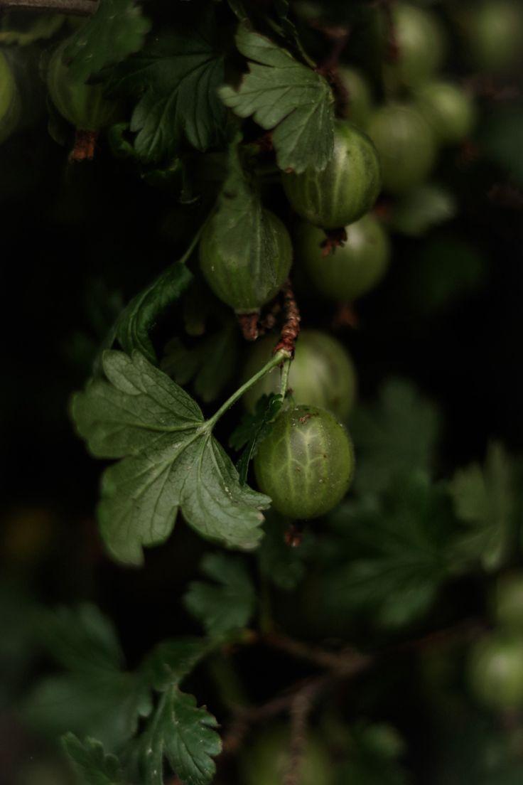 Farmland's Finest Seasonal Produce Pack